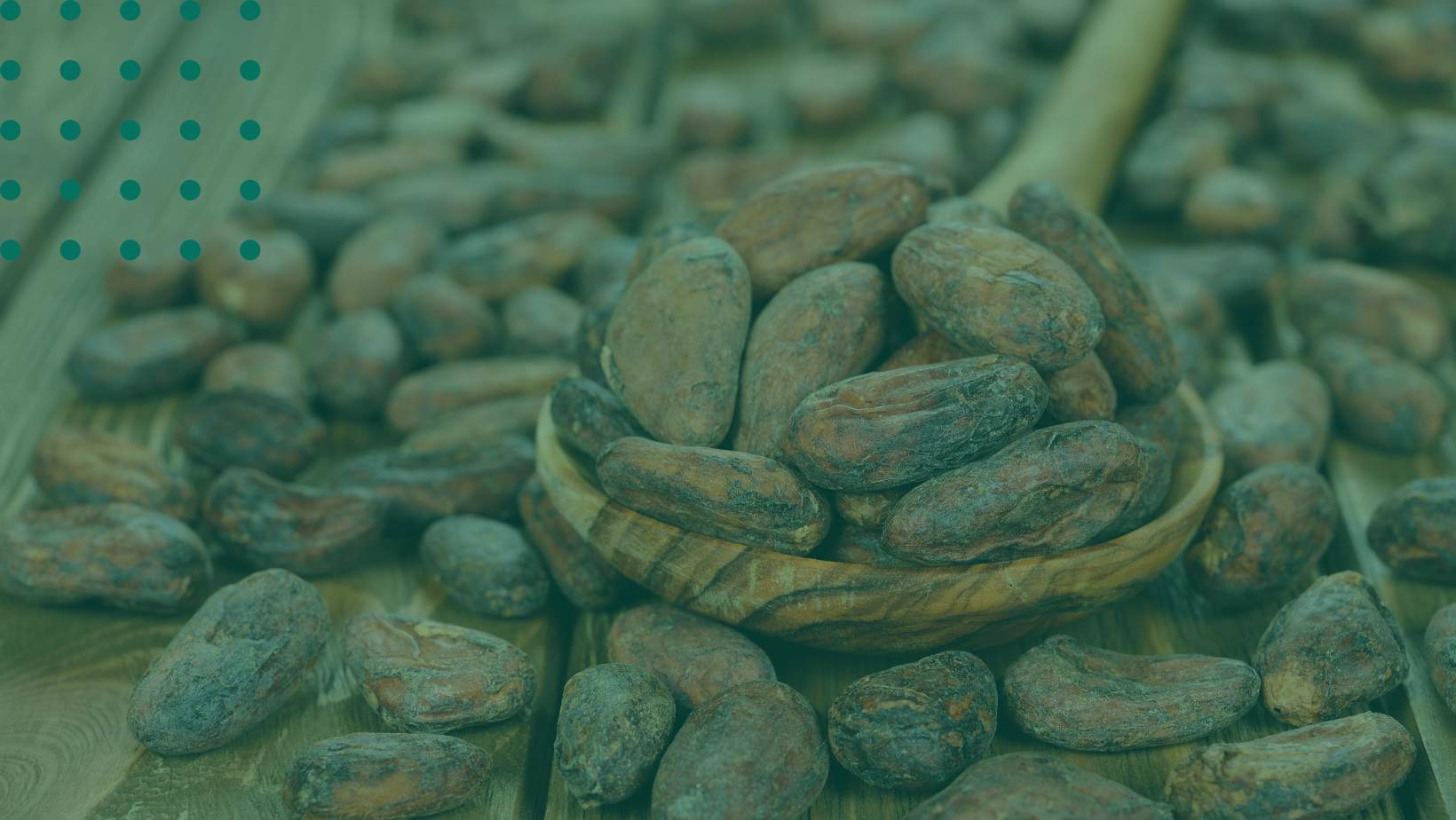 INO Cacao: Conoce los dulces futuros de este commodity